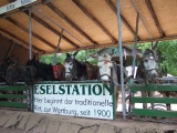 2011- 033.jpg